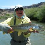 Ron S on Owyhee